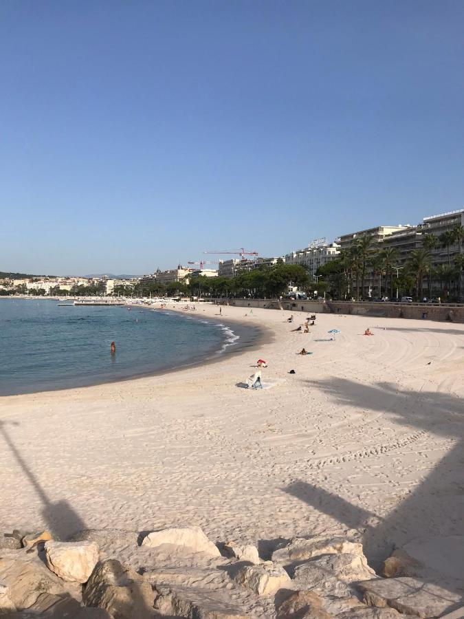 Apartmán Tres Beau T2 Dans Parc Montfleury ,Proche Centre ,Au Calme 44 Bd Montfleury Cannes Exteriér fotografie