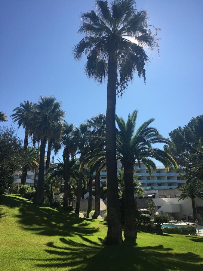 Apartmán Tres Beau T2 Dans Parc Montfleury ,Proche Centre ,Au Calme 44 Bd Montfleury Cannes Exteriér fotografie