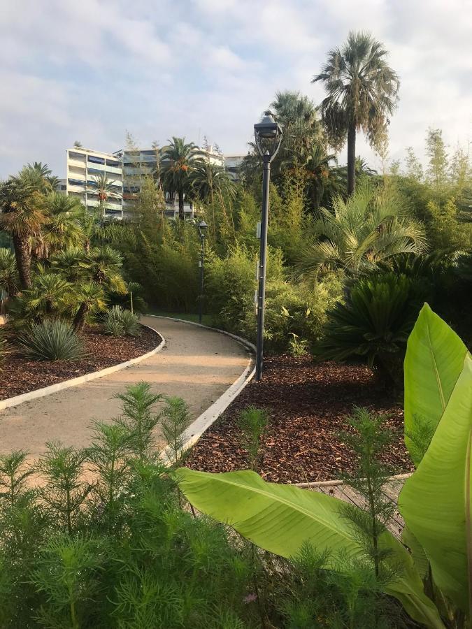 Apartmán Tres Beau T2 Dans Parc Montfleury ,Proche Centre ,Au Calme 44 Bd Montfleury Cannes Exteriér fotografie